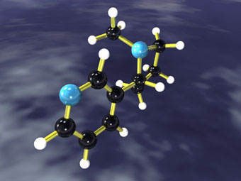 feromone_u.jpg, 13 KB